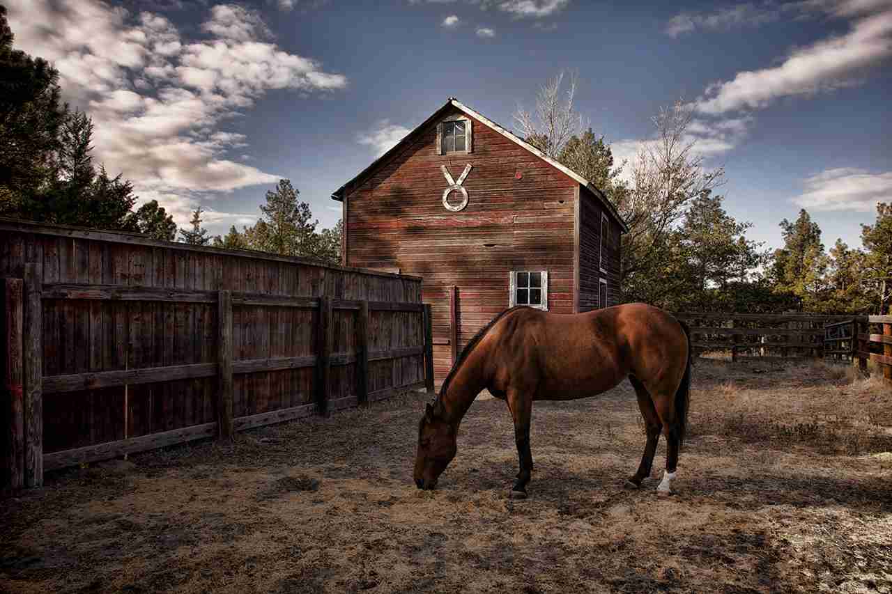 valentine nebraska, horse ranch
